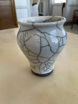 Raku Workshop February 22nd